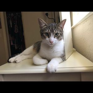 Meet your Posher, Jess